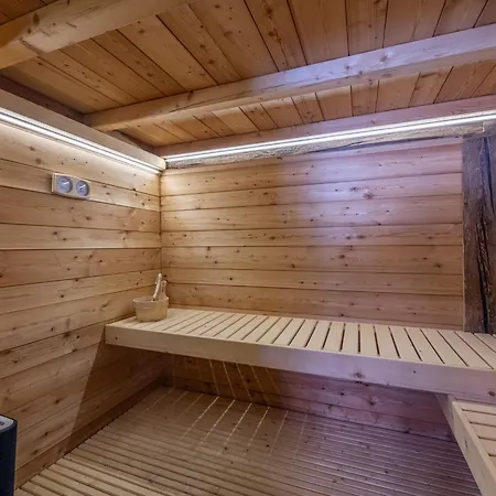 A Avec Sauna Et Jacuzzi - Fr-1-343-253